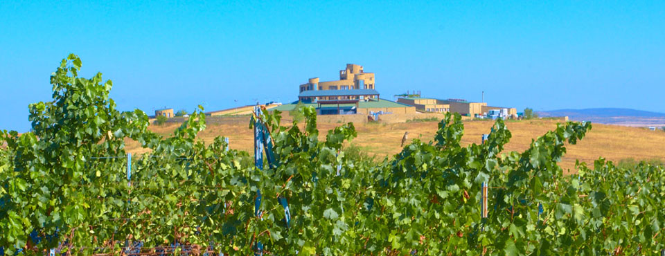  Edoardo Miroglio Estate 