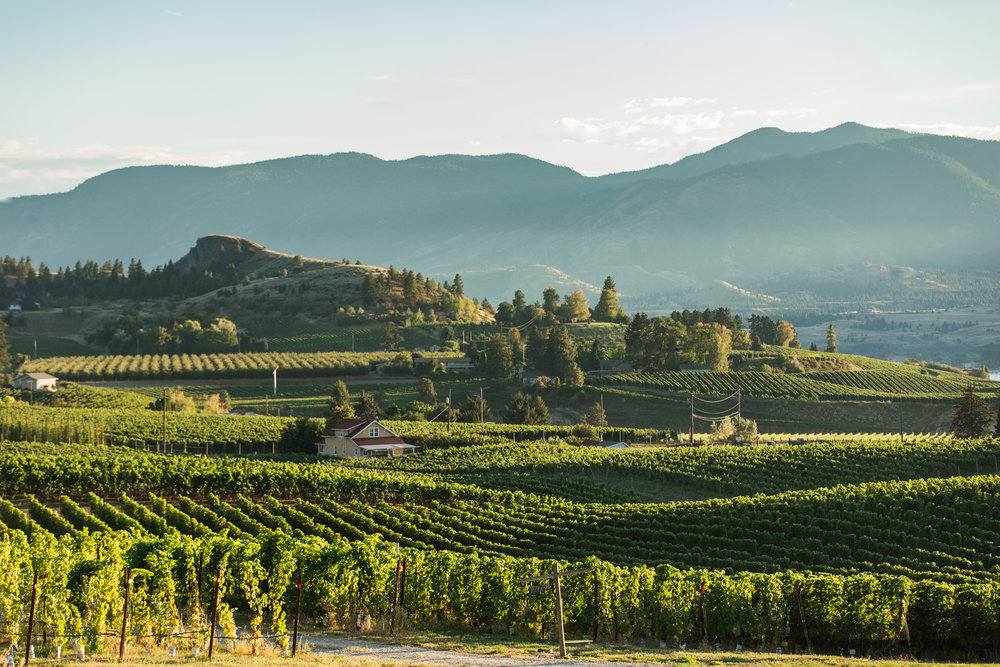  The Okanagan Valley is one of the most beautiful wine regions in the world (and that is saying a lot given the beauty that often comes with wine country) 