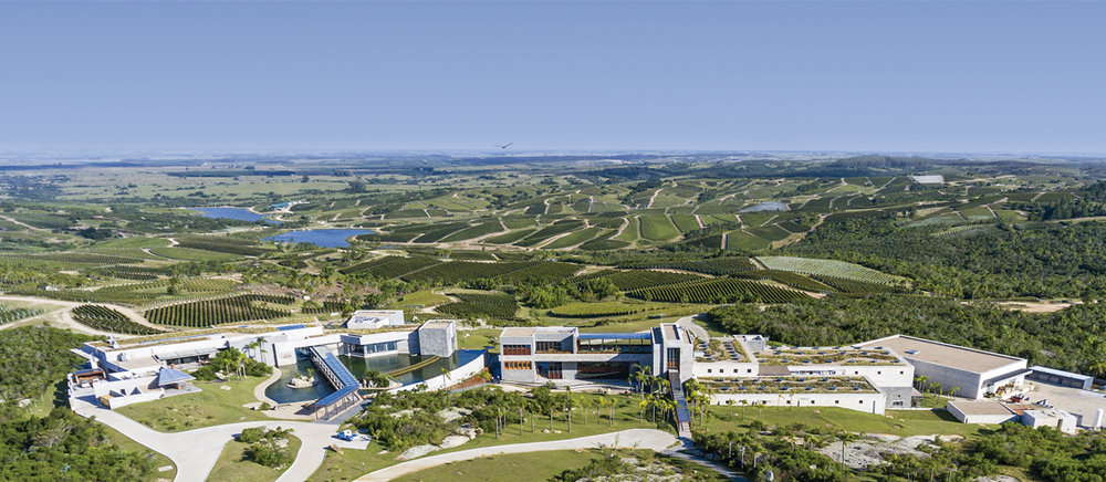  Bodega Garzón’s impressive visitor facilities and vineyards 