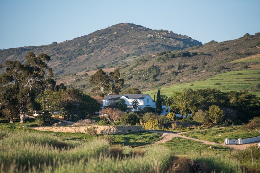  Lammershoek Winery 