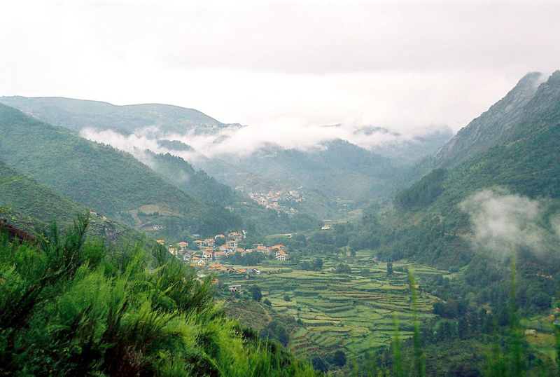  Vinho Verde (it looks a bit like Washington State or BC or even Ecuador) 