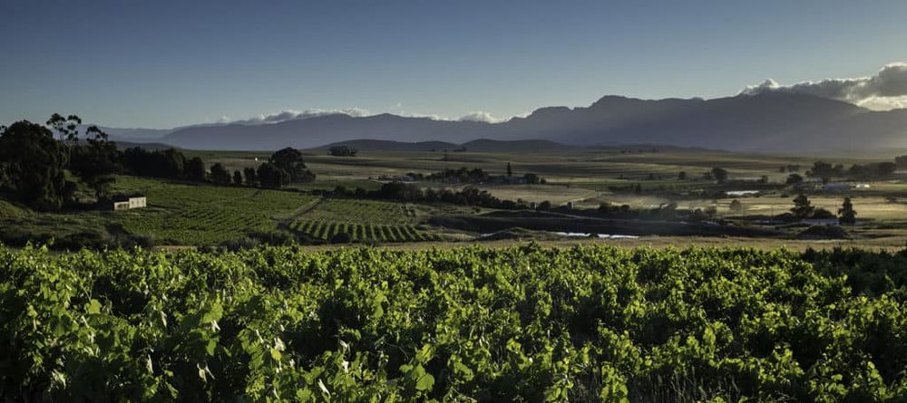 The Swartland’s wine revolution is occurring beneath a huge, vaulted sky.