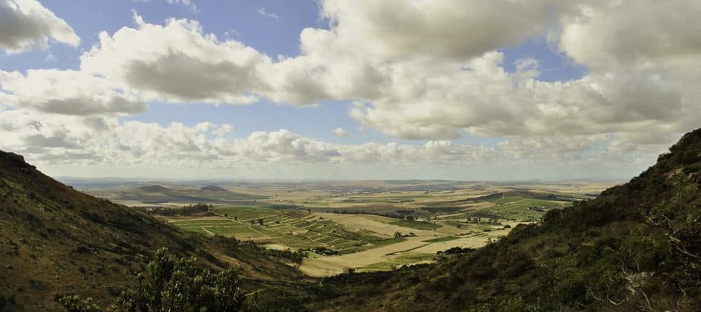 African vistas and innovative wines in The Swartland 