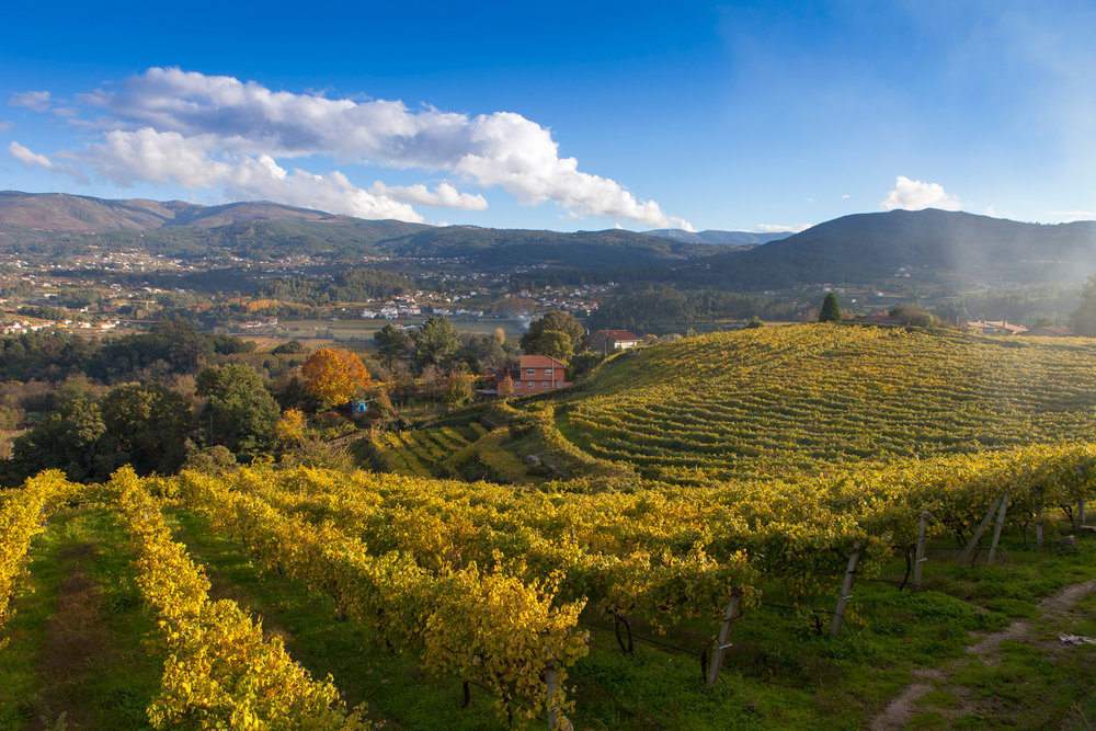  Ireland in Spain some people say. I think it looks just like Rias Baixas. 