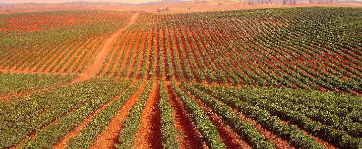  The Alentejo is vast with beautiful rolling agricultural land in the south and mountains in the north 