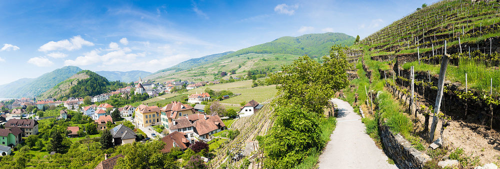  Wachau vineyards and villages 