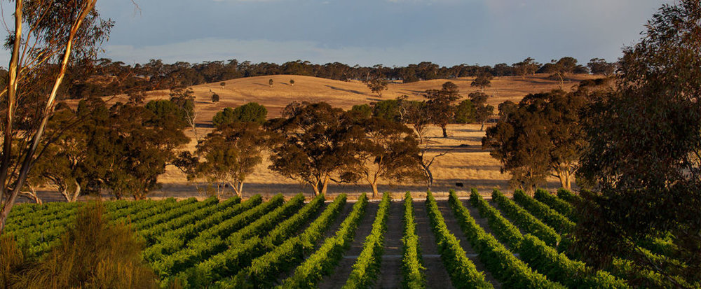  Henschke’s Mt. Edelstone Vineyard 