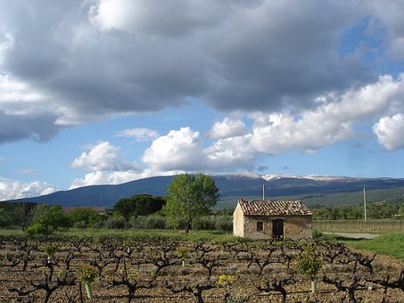  Rhône Valley - Ventoux 