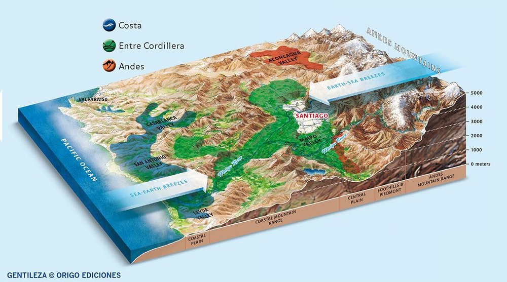  San Antonio and Leyda - complexity of climate makes for very particular wines. 