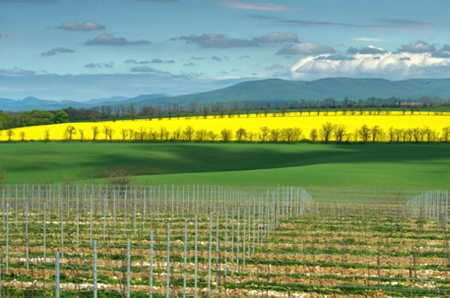 The foothills of the Carpathians 