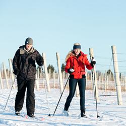 The vineyard crew moves quickly