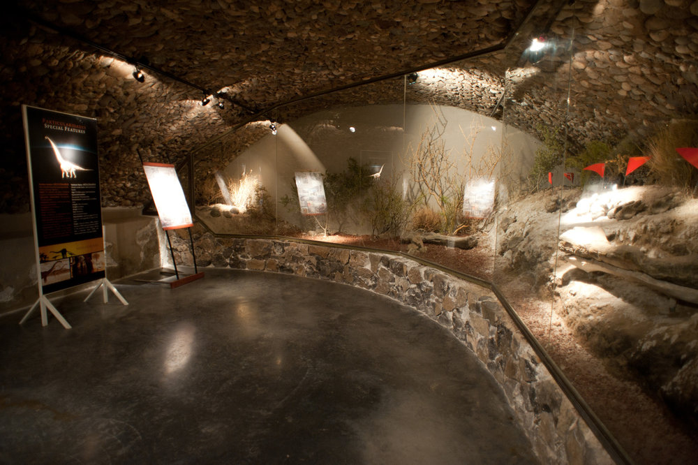 A dinosaur was uncovered during the building of Bodega Schroeder … and the species was named after the family