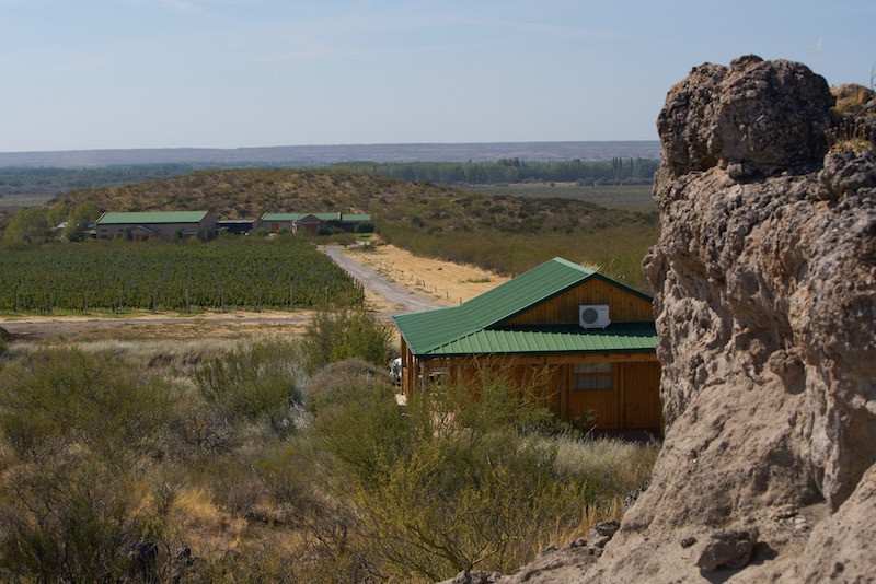 Bodega Noemia vineyard in the the rugged Rio Negro region of Patagonia