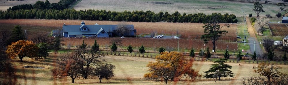  Tasmania and the Tamar Valley - great cool climate wines and friendly cellar doors. 