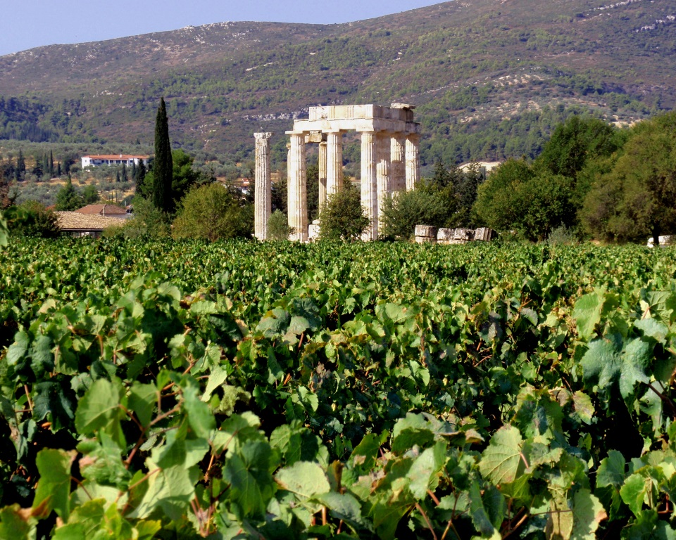  Temple of Zeus at Ktima Papaioannou estate 