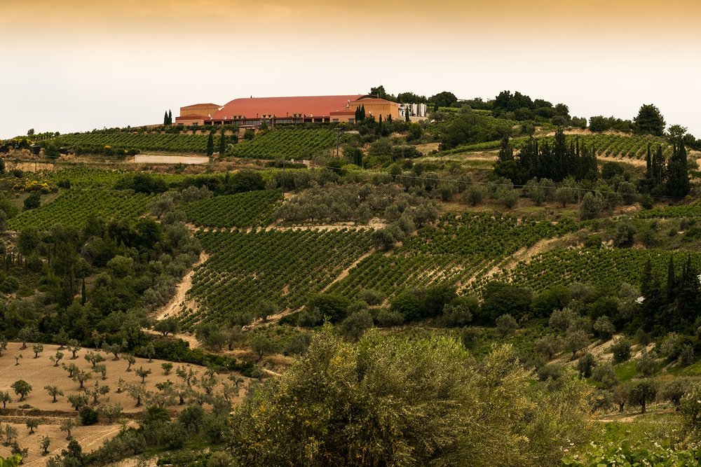  The Seméli Winery in Nemea produces Nemea PDO Agiorgitiko and also an impressive array of other wines 