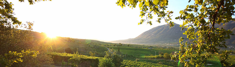  The vineyards and mountains of Sannio from Vigne Vecchi 