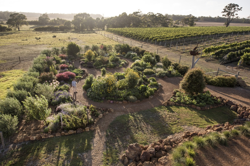  The Wine Sensory Garden at Whicher Ridge 