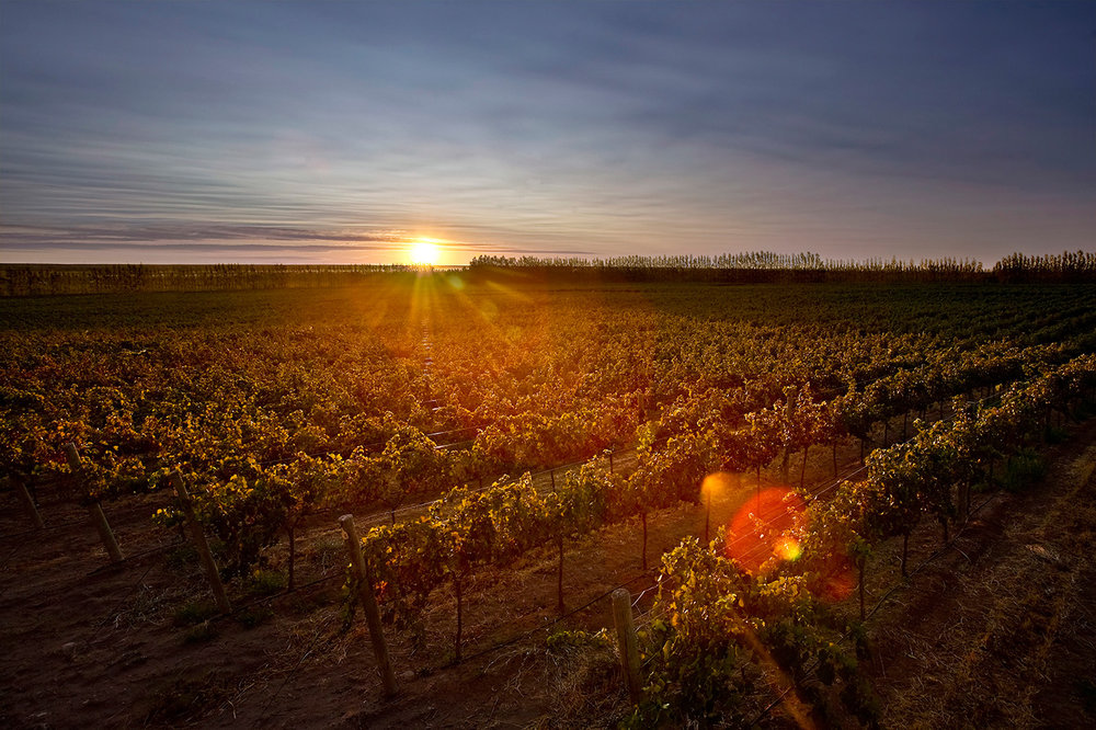 Sunset on Rio Negro’s wine country at Bodega Familia Schroeder