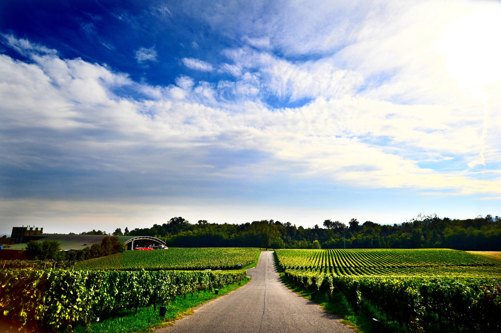  Ca’ Del Bosco Vineyard in the Franiacorta region of Lombardy 