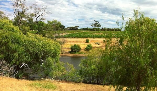  Iron Cloud Winery with the Henty Creek and rolling hills emblematic of Geographe 