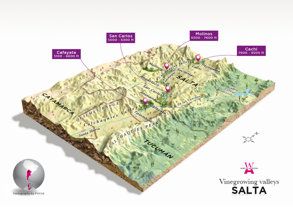 Salta and the Cafayate wine region in Argentina’s far north.
