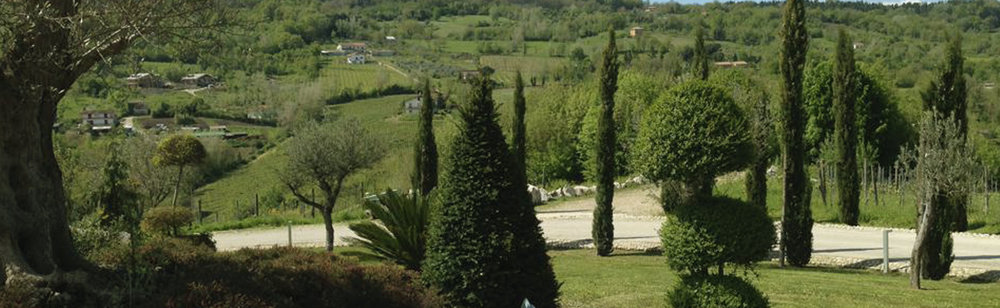  The gardens at Cantina Donnachiara 