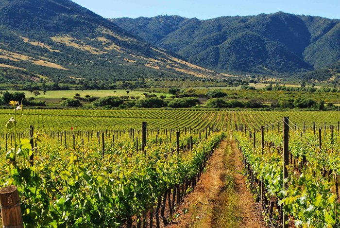  Rugged mountains and fertile valleys characterize the agricultural land in Mexico’s California 