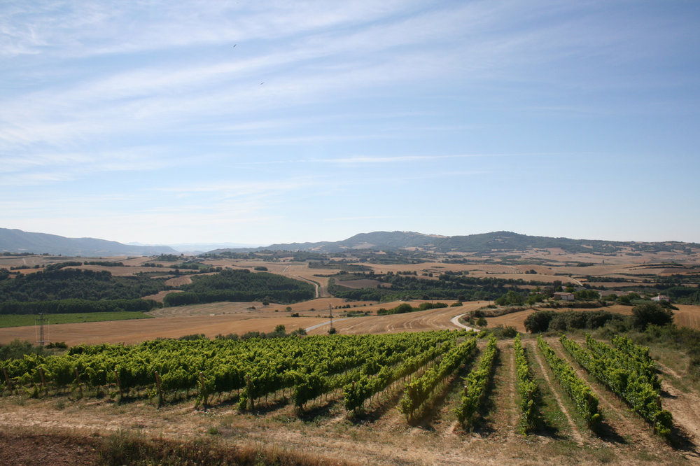Bodegas Aroa is one of the winemakers in Navarra that is pushing innovation and a unique identity