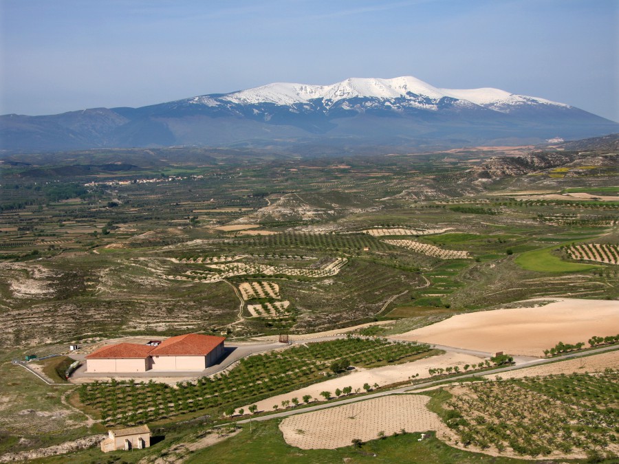  The vineyards of Bodegas Alto Moncayo with the Moncayo mountain in the background. The regional mountain ranges have a significant effect on the climate in these high altitude vineyards. 