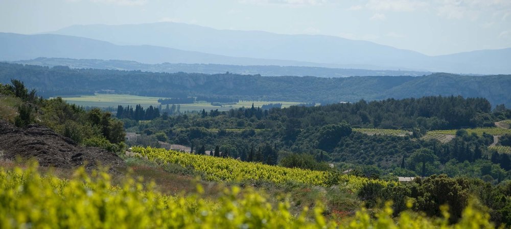  The southern Rhône - where the best of God’s handiwork meets the best of humankind’s handiwork at Domaine de la Mordorée 