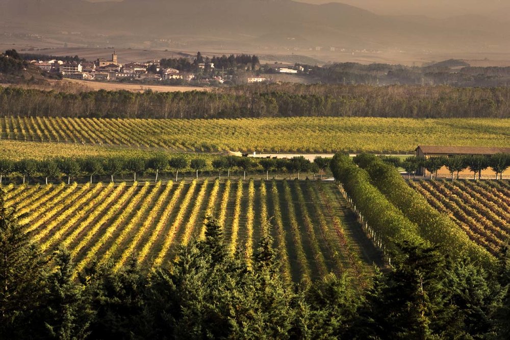Navarra is a region that is courageously reinventing itself to find its own distinct identity