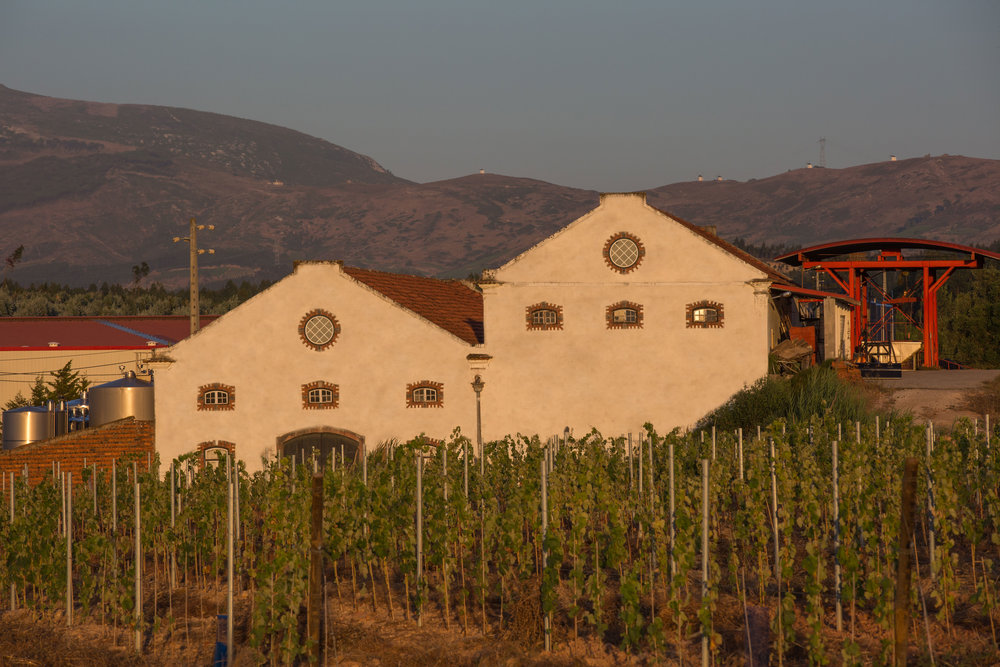  Quinta de S. Francisco. You can just make out the traditional white wine mills on the crest of the hills 